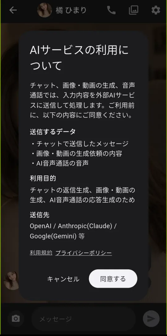 会話の前に出る「AIサービスの利用について」。送信先として OpenAI・Anthropic（Claude）・Google（Gemini）等と書かれている