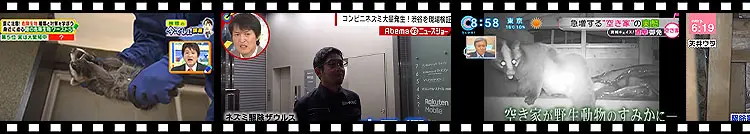 駆除ザウルス テレビ出演実績