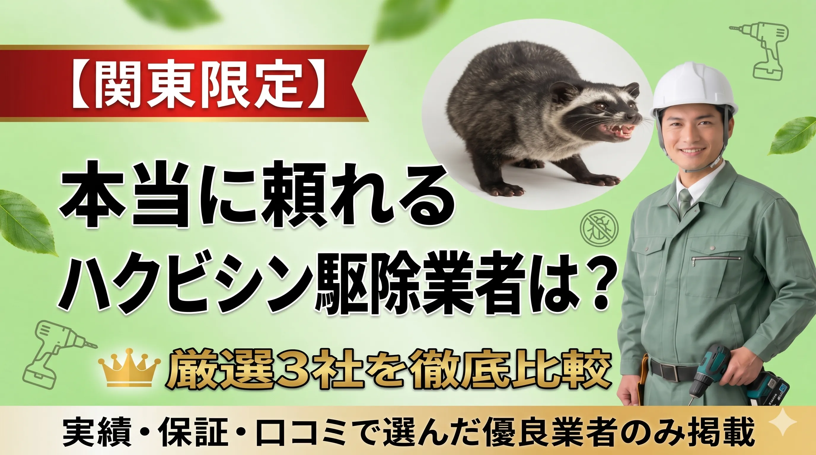 ハクビシン駆除業者を徹底比較！信頼できる厳選3社をランキング形式で紹介